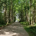 Und Wald * Kuehlungsborn