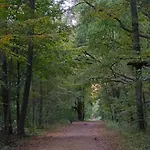 Apartment Und Wald Kuehlungsborn