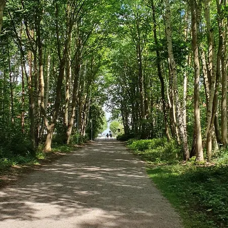 Und Wald * Kuehlungsborn