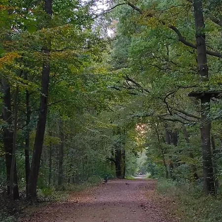 Apartment Und Wald Kuehlungsborn