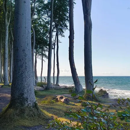 Und Wald Apartamento *