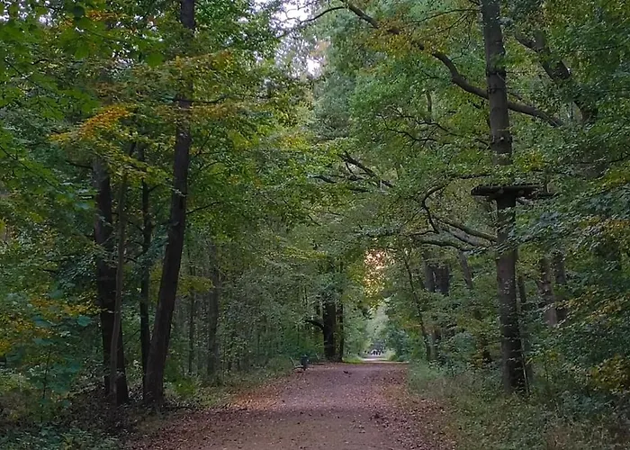 Апартаменты Und Wald Кюлунгсборн